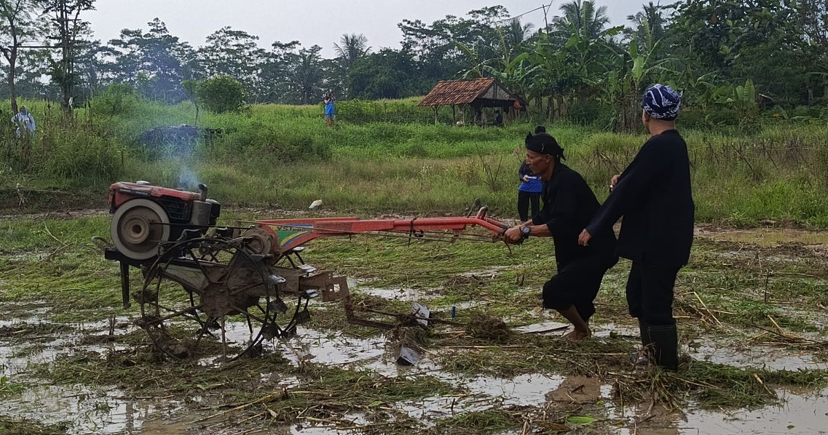 KNPI Jasinga memperingati Hari PETA 2026 dengan aksi ketahanan pangan di Desa Bagoang, Bogor, serta menyoroti persoalan irigasi petani.