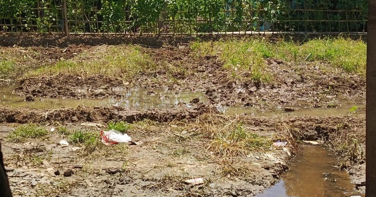 Setelah 5 tahun kering akibat bendung jebol, irigasi Cibongas kembali mengalir. Petani di Kalongliud Bogor mulai menggarap sawah lagi.
