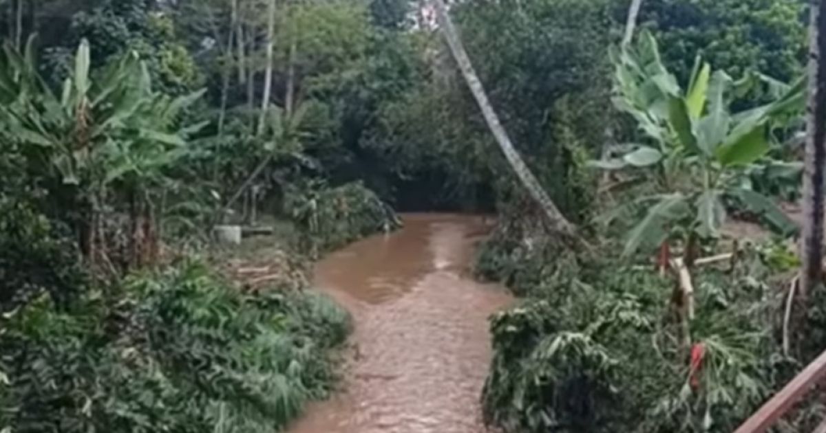 Banjir melanda Cigudeg, Bogor, akibat hujan deras. Sebanyak 50 warga mengungsi, puluhan rumah rusak. Pemkab Bogor bergerak cepat lakukan penanganan.