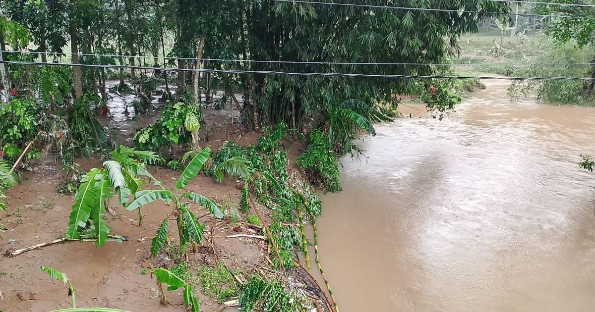 Minimnya infrastruktur penahan tanah di sepanjang aliran Sungai Cipangaur dinilai menjadi penyebab utama wilayah Desa Pangaur rentan dilanda banjir.