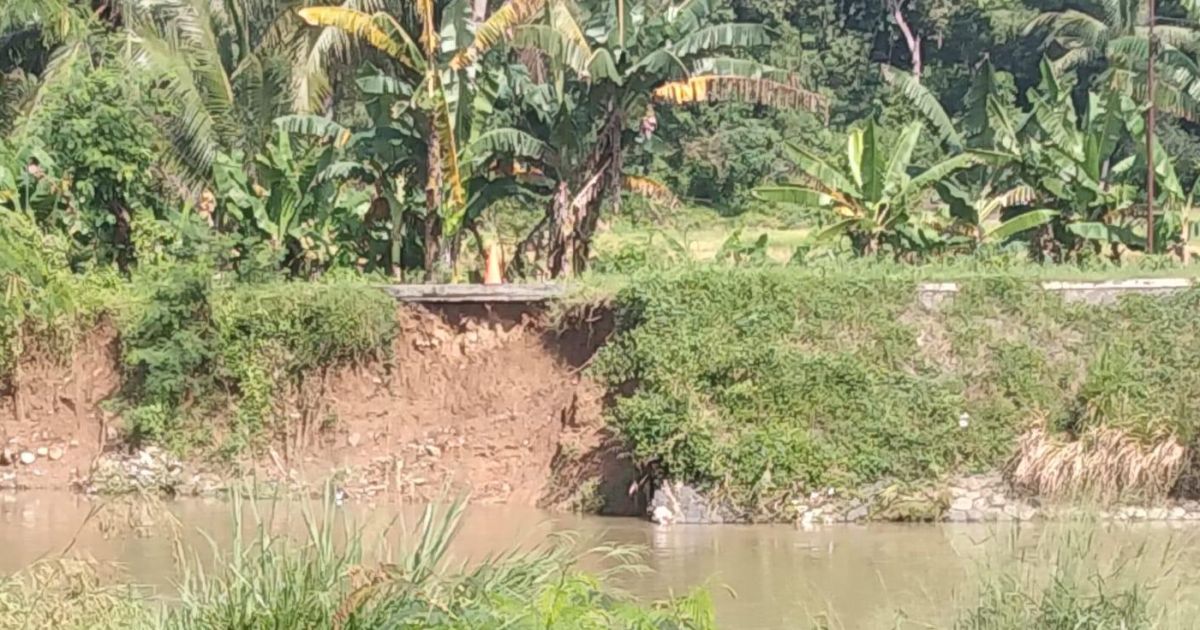 Jalan Penghubung Dua Desa di Jasinga Longsor, Warga Waswas Badan Jalan Ikut Roboh