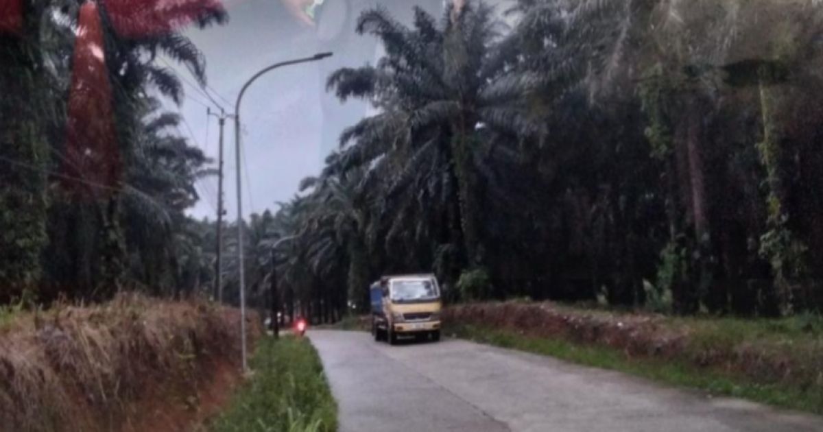 Ratusan PJU Jalur Cigudeg–Sukajaya Mati, Warga Soroti Keselamatan Pengguna Jalan