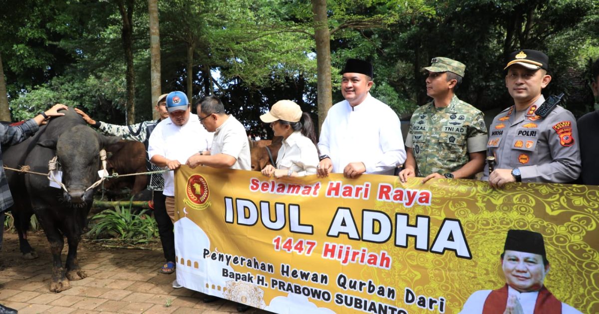 Bupati Bogor Rudy Susmanto mengapresiasi Presiden Prabowo Subianto atas bantuan sapi kurban 1,2 ton untuk masyarakat Kabupaten Bogor pada Idul Adha 1447 H.