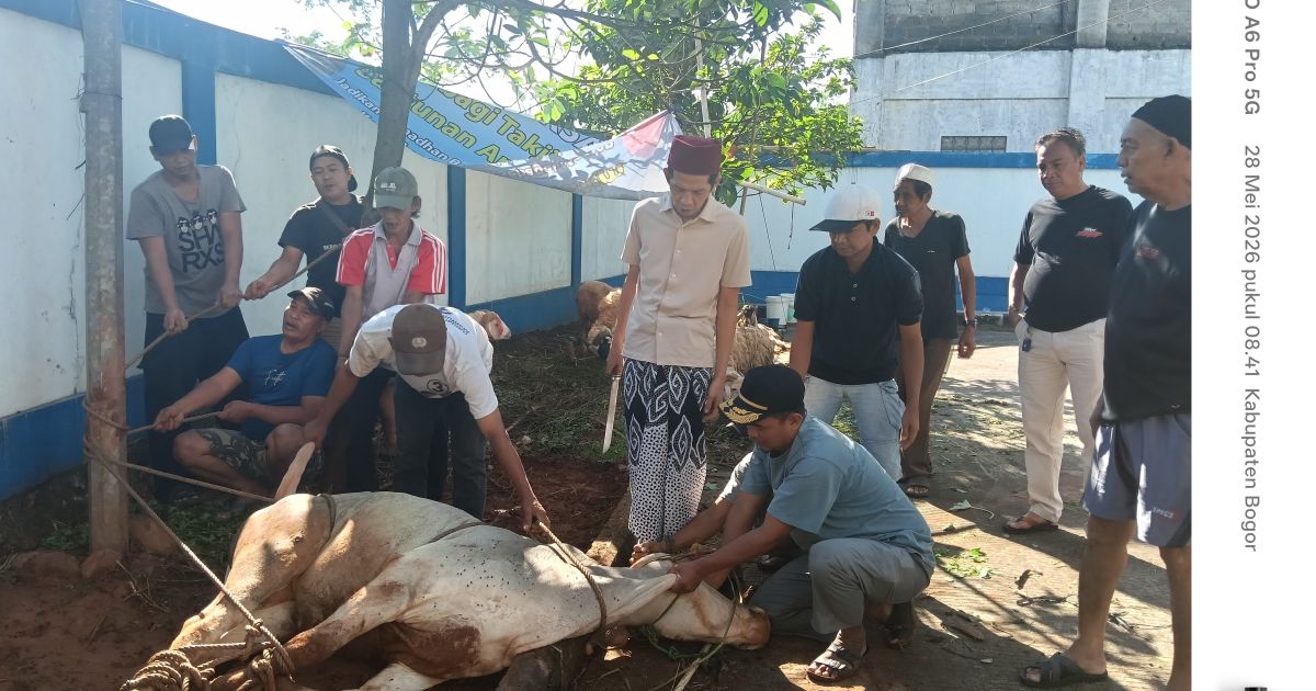 PWI Kabupaten Bogor melaksanakan pemotongan hewan kurban Iduladha 1447 H dengan menyembelih 1 sapi dan 9 kambing di Graha Wartawan Tegar Beriman. Kamis 28/05
