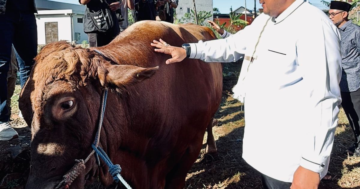 Bupati Bogor Rudy Susmanto menyerahkan hewan kurban bantuan Presiden Prabowo Subianto kepada DKM Masjid Raya Nurul Wathon untuk didistribusikan kepada masyarakat.
