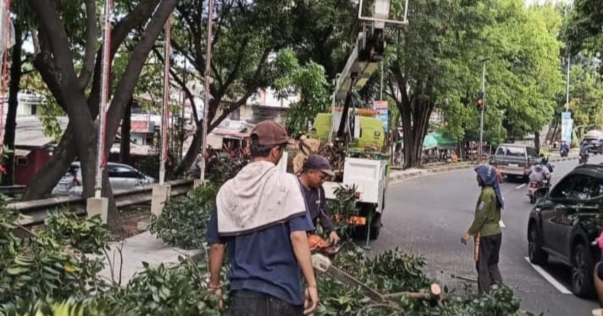 Wujudkan Kota Hijau, DLHK Depok Perkuat Perawatan Pohon dan Program Penghijauan