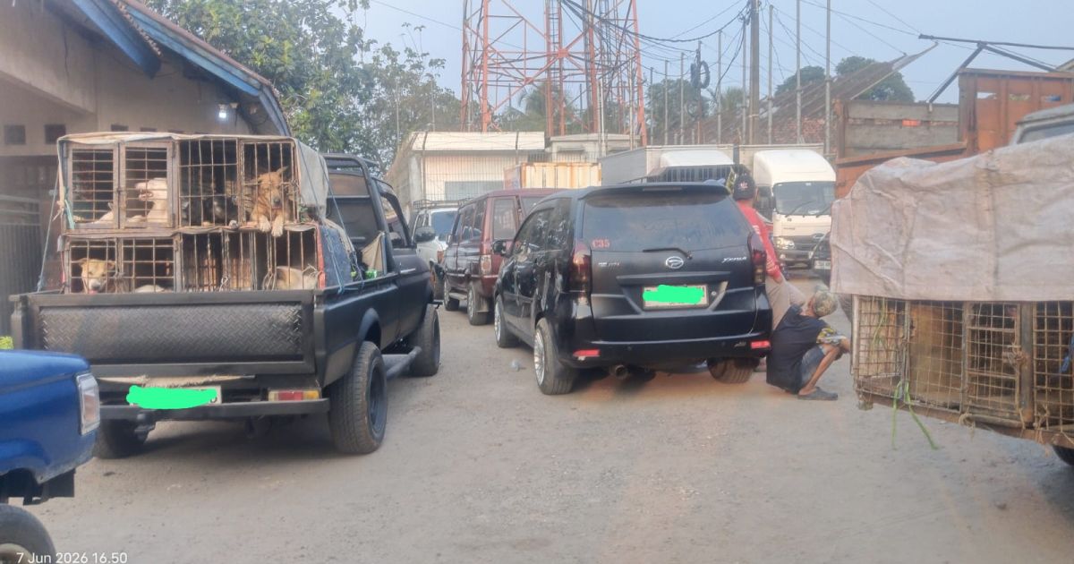 Polisi memeriksa sekitar 20 pemburu terkait kasus tewasnya seorang bocah yang diduga diserang anjing pemburu saat aktivitas nganjingan di Kecamatan Jasinga, Kabupaten Bogor. Penyidikan masih berlangsung.