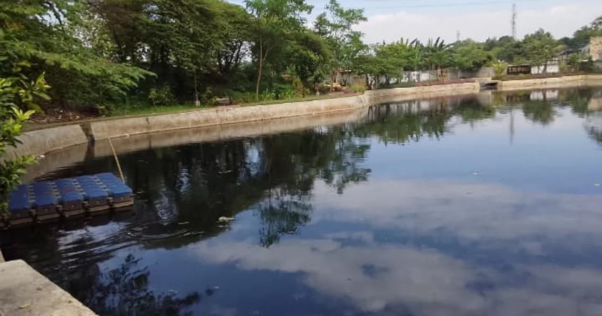 DLHK Depok Turun Tangan Tangani Dugaan Pencemaran Situ Bahar, Sampel Air Diuji Laboratorium