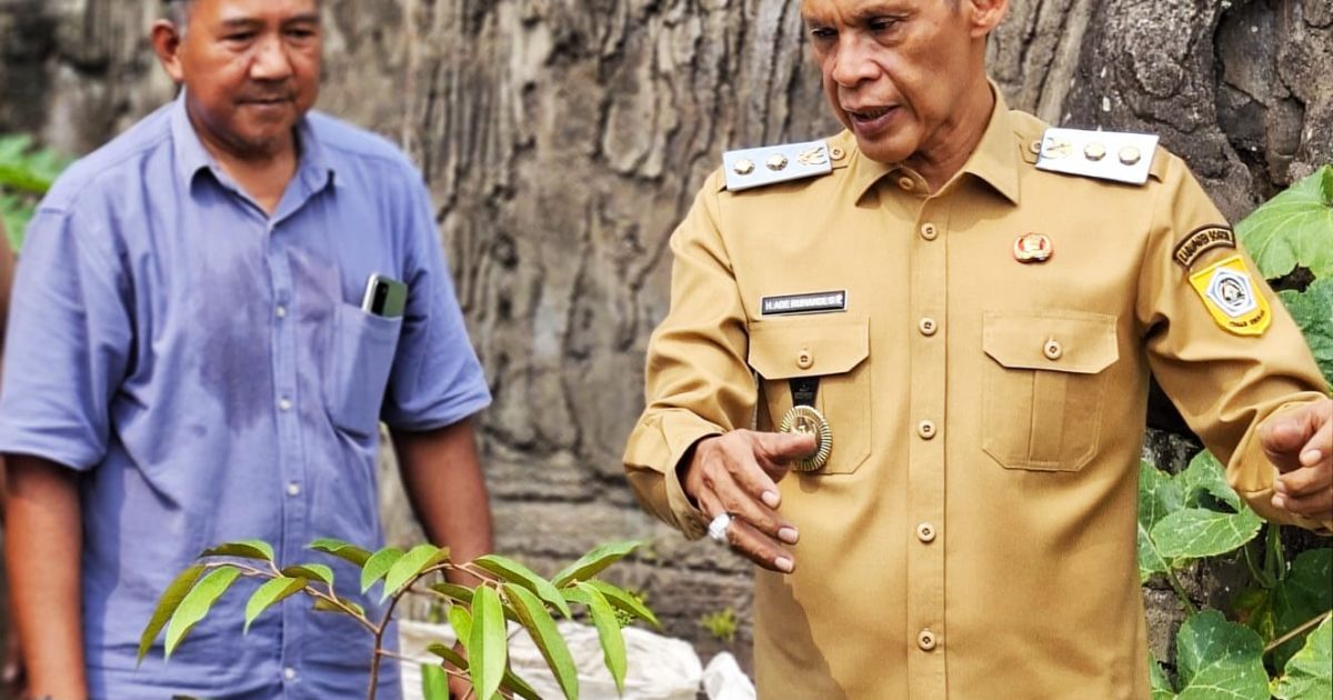 Wakil Bupati Bogor Jaro Ade mencanangkan gerakan penanaman pohon di pekarangan rumah warga dengan menanam Durian Black Thorn di Desa Gadog, Megamendung, sebagai upaya penghijauan dan ketahanan pangan keluarga.