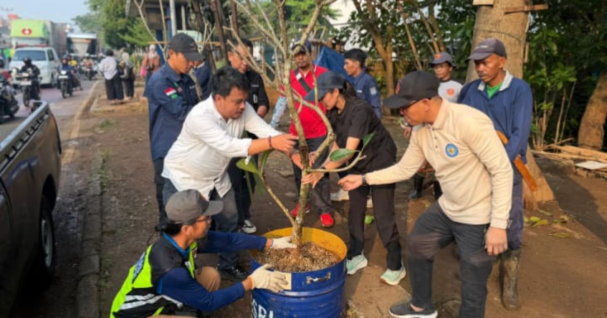 Pemkot Depok dan UIII Hijaukan Jalan Raya Bogor, Tanam 20 Pohon Kamboja Bali