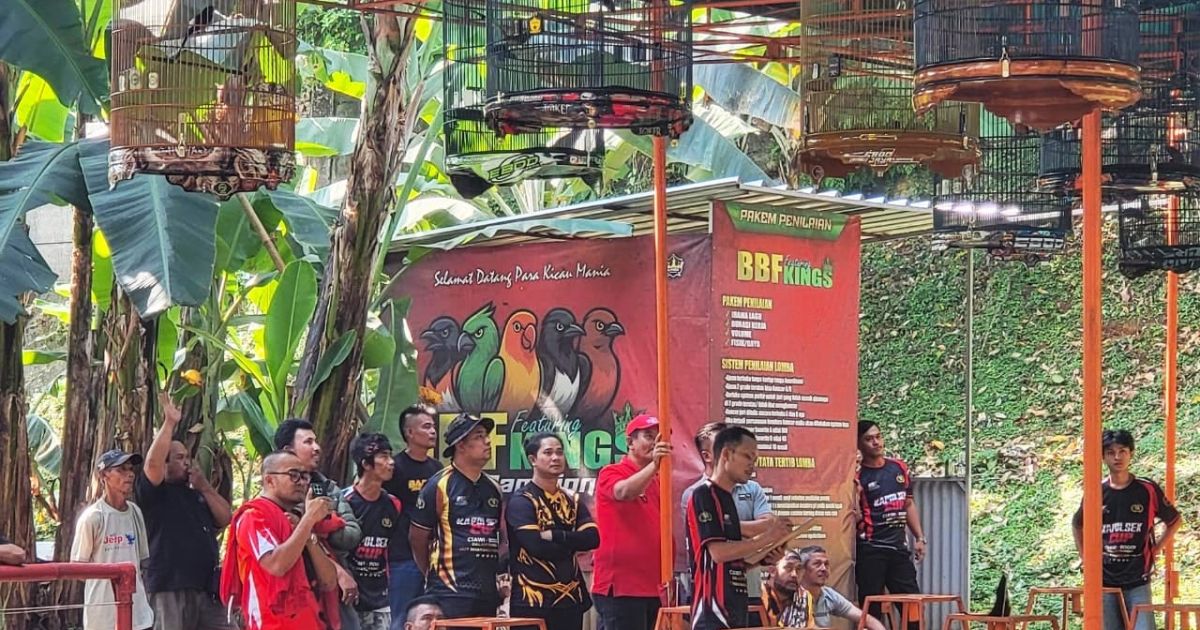 Polsek Ciawi menggelar Kicau Mania Kapolsek Ciawi Cup 2026 dalam rangka Hari Bhayangkara ke-80. Sebanyak 500 peserta mengikuti lomba burung berkicau yang berlangsung meriah di Ciawi, Kabupaten Bogor.