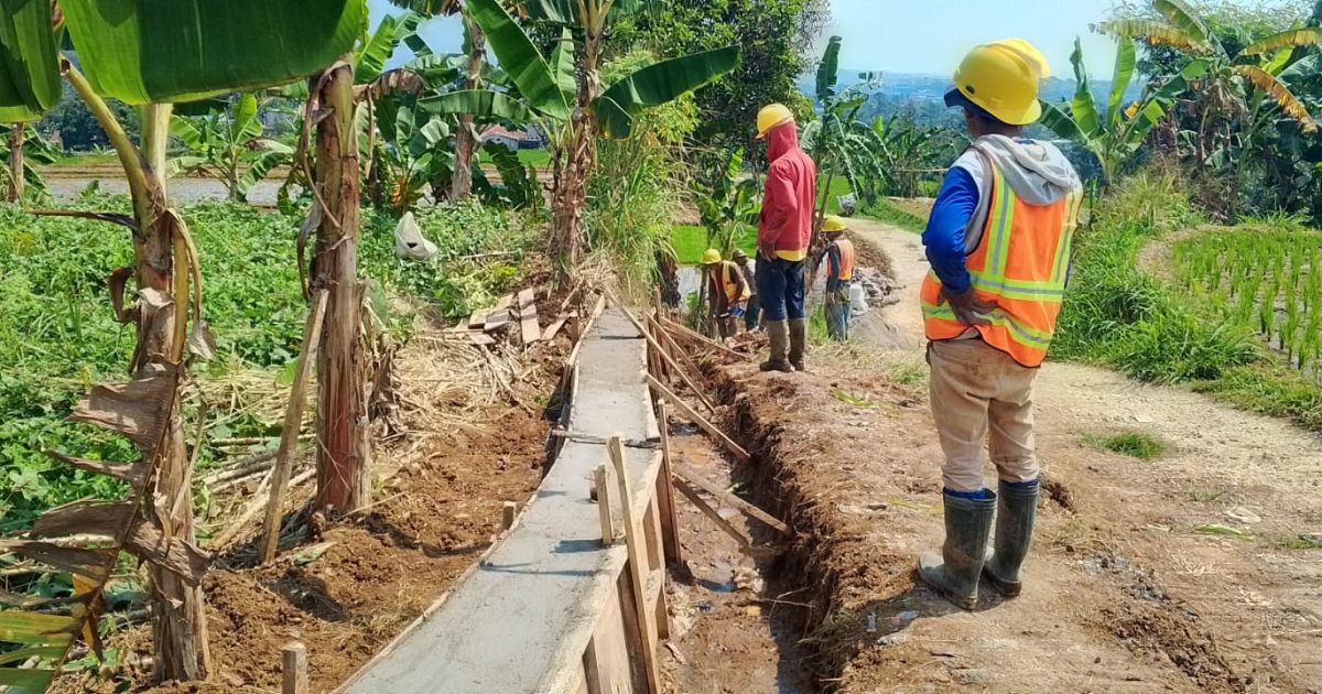 Program P3TGAI Hadir di Pancawati, Petani Optimistis Hasil Panen Meningkat