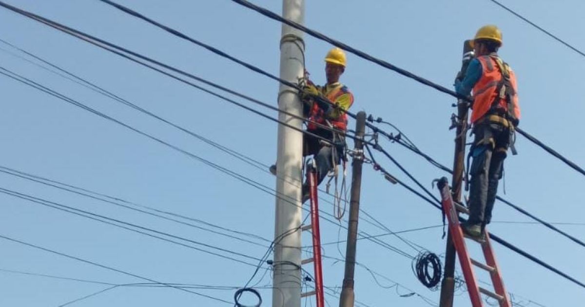 PLN melakukan perbaikan tiang listrik miring dan kabel menjuntai di Kampung Pangradin 2, Desa Pangradin, Jasinga, Kabupaten Bogor.