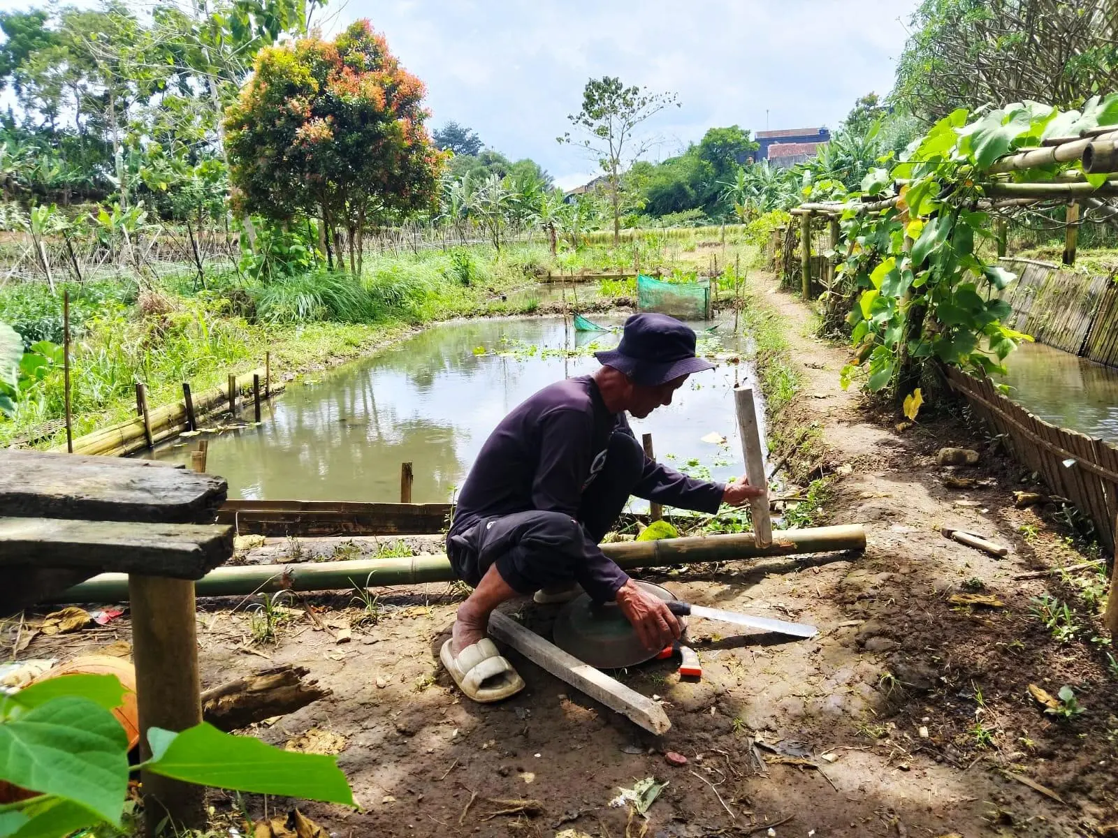 BUMDes Ciburuy Kelola Dana Ketahanan Pangan, Sektor Peternakan Masih Dipertanyakan