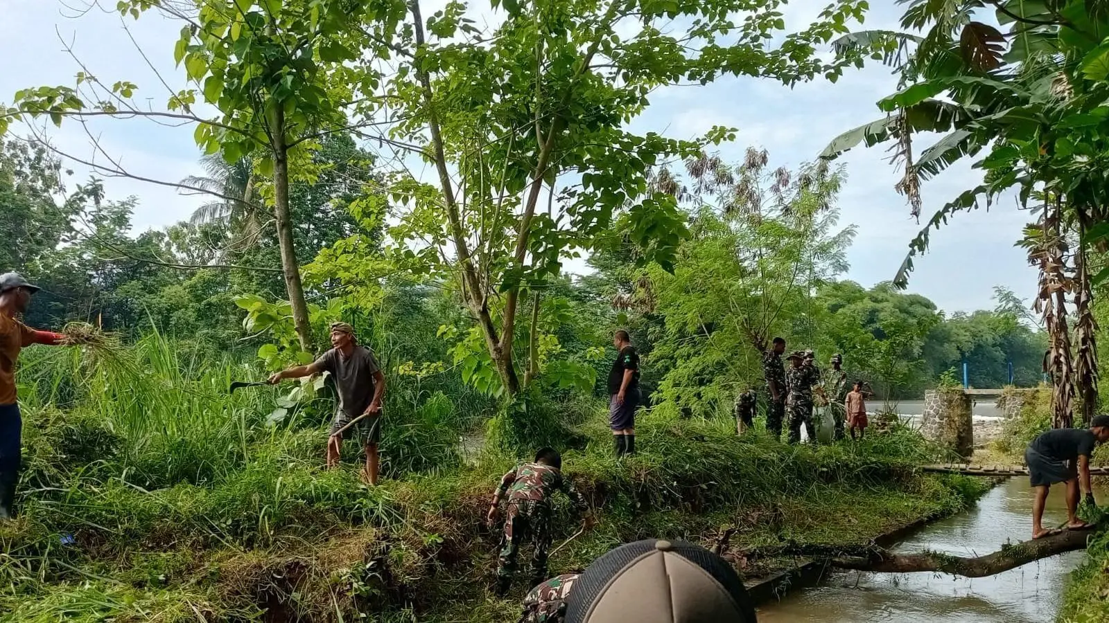 Aksi Massal Bersih Sungai Cikaniki, Warga Sadeng Tanam Pohon di Bantaran