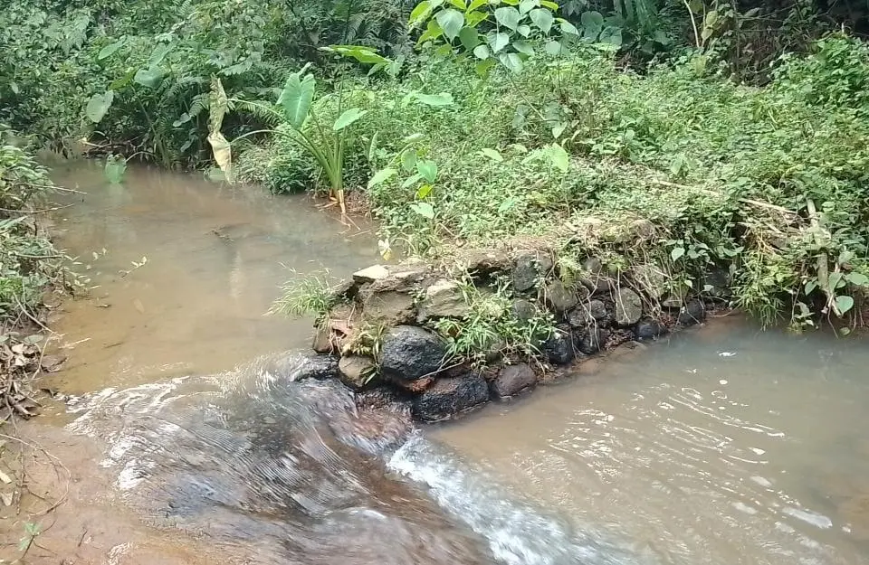 Bendungan Cimerek di Jasinga Terbengkalai, Sawah Petani Mengering