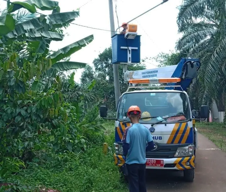 Pohon Tumbang Padamkan PJU Situ Kadongdong, Dishub Sigap Lakukan Perbaikan