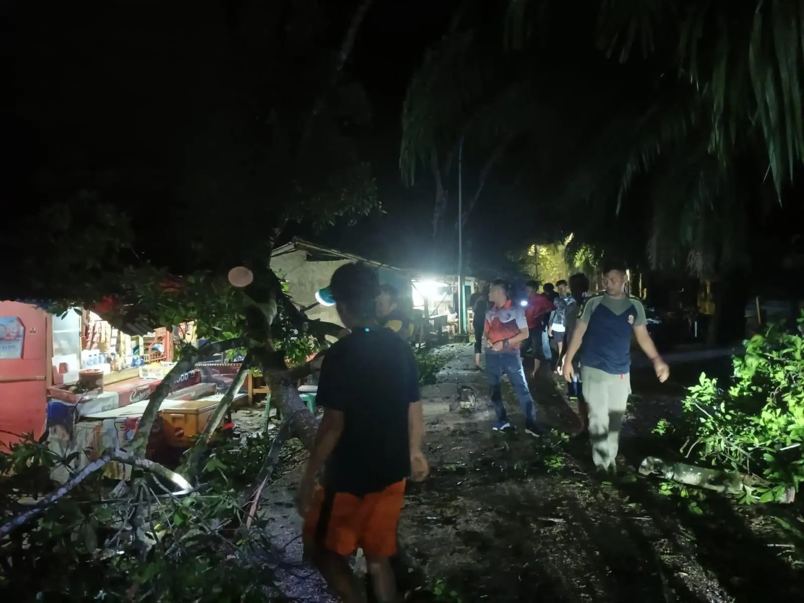 Situ Kadongdong Lumpuh Sementara Akibat Pohon Tumbang Diterjang Angin Kencang