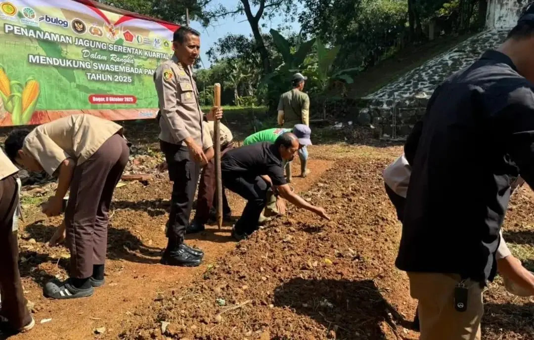 Dukung Ketahanan Pangan, Polsek Nanggung dan Petani Muda Tanam Jagung Hibrida Serentak