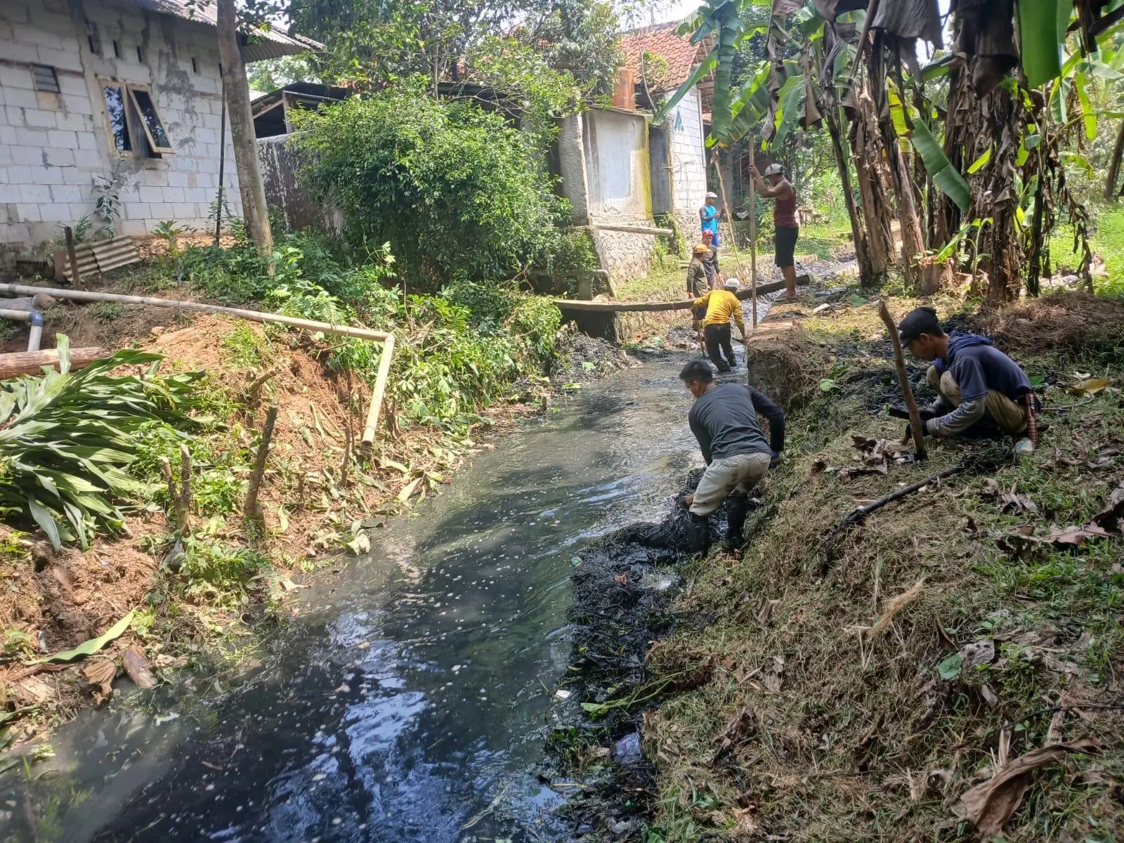Petani Jasinga Terancam Gagal Panen, Irigasi Sodong Tak Mengalir Enam Tahun