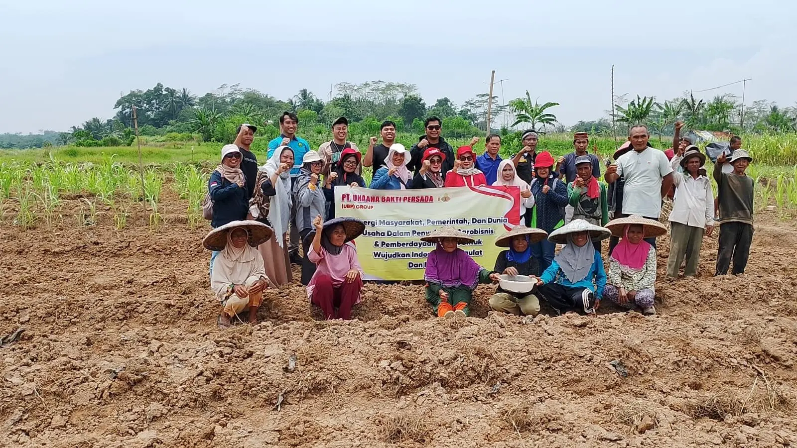 Studi Banding ke Jasinga, Perusahaan Tambang Nikel Lirik Sorgum untuk Reboisasi