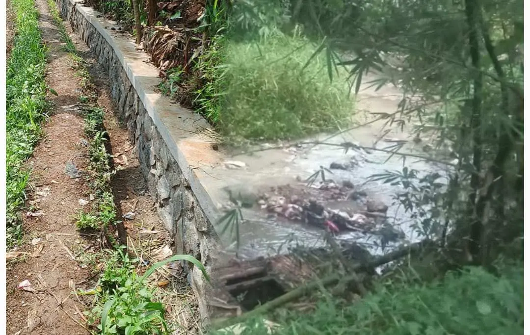 Pemeliharaan Irigasi Cicaung Disorot: Saluran Diperbaiki, Bendungan Rusak Dibiarkan