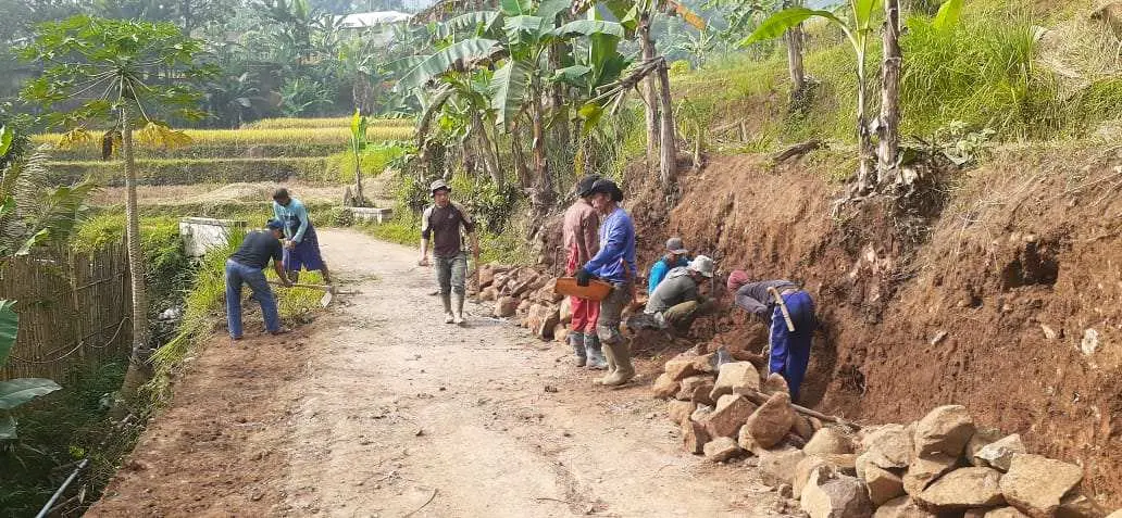 Wilayah Rawan Longsor, Sukaluyu Fokus Bangun TPT dan Perkebunan Pepohonan