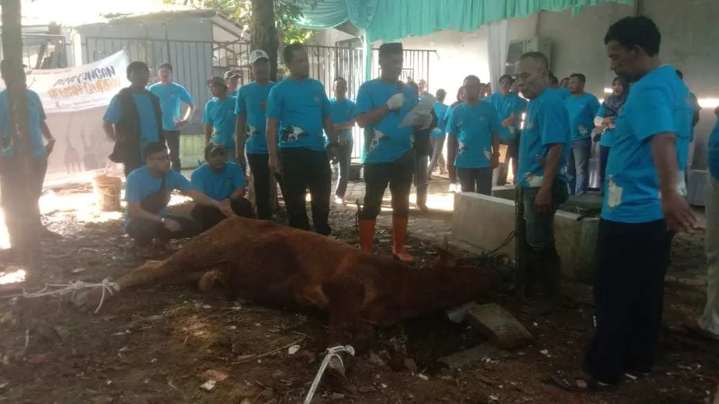 BPN Depok Kembali Gelar Kurban, Tradisi yang Hidupkan Kepedulian Sosial