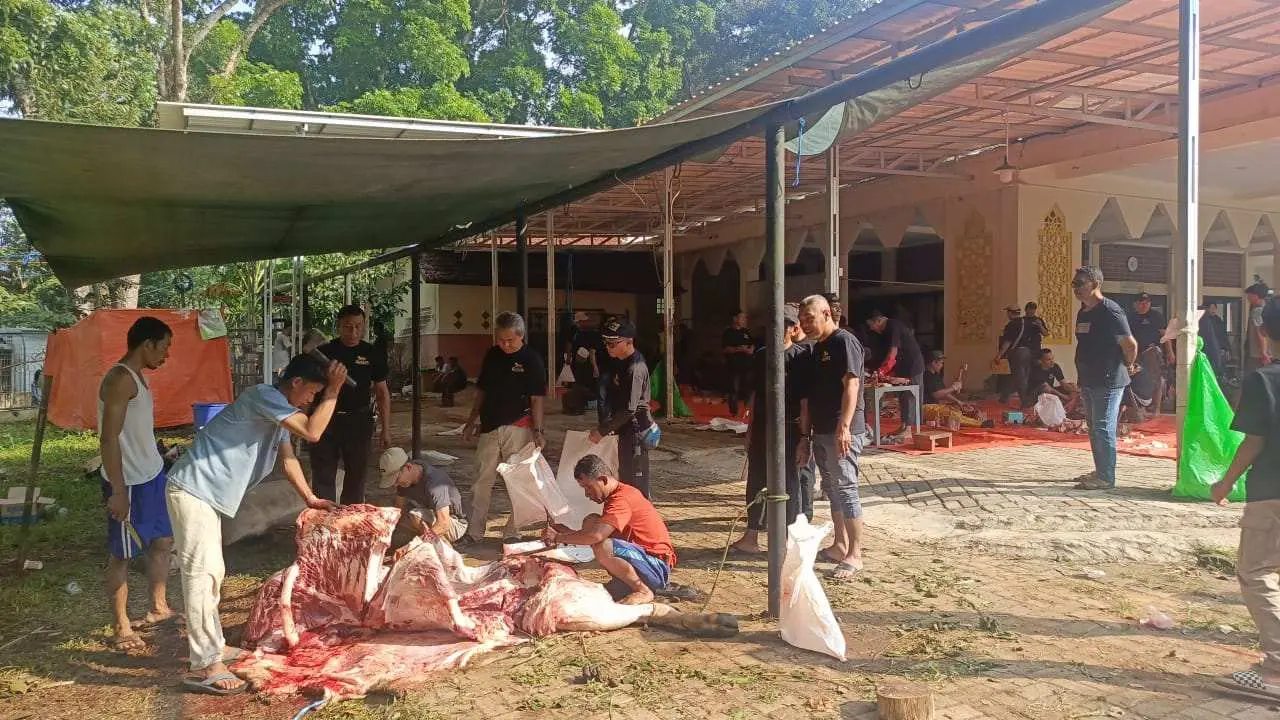 PT Antam UBPE Pongkor Salurkan 79 Hewan Kurban di Momen Idul Adha 1446 H