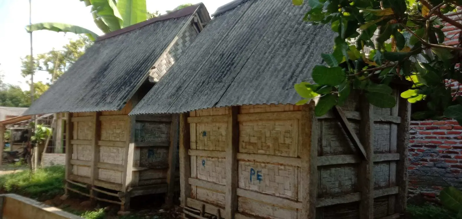 Pertahankan Tatanan Pertanian, Warga Tegal Wangi Masih Jaga Tradisi Mipit dan Lumbung Padi