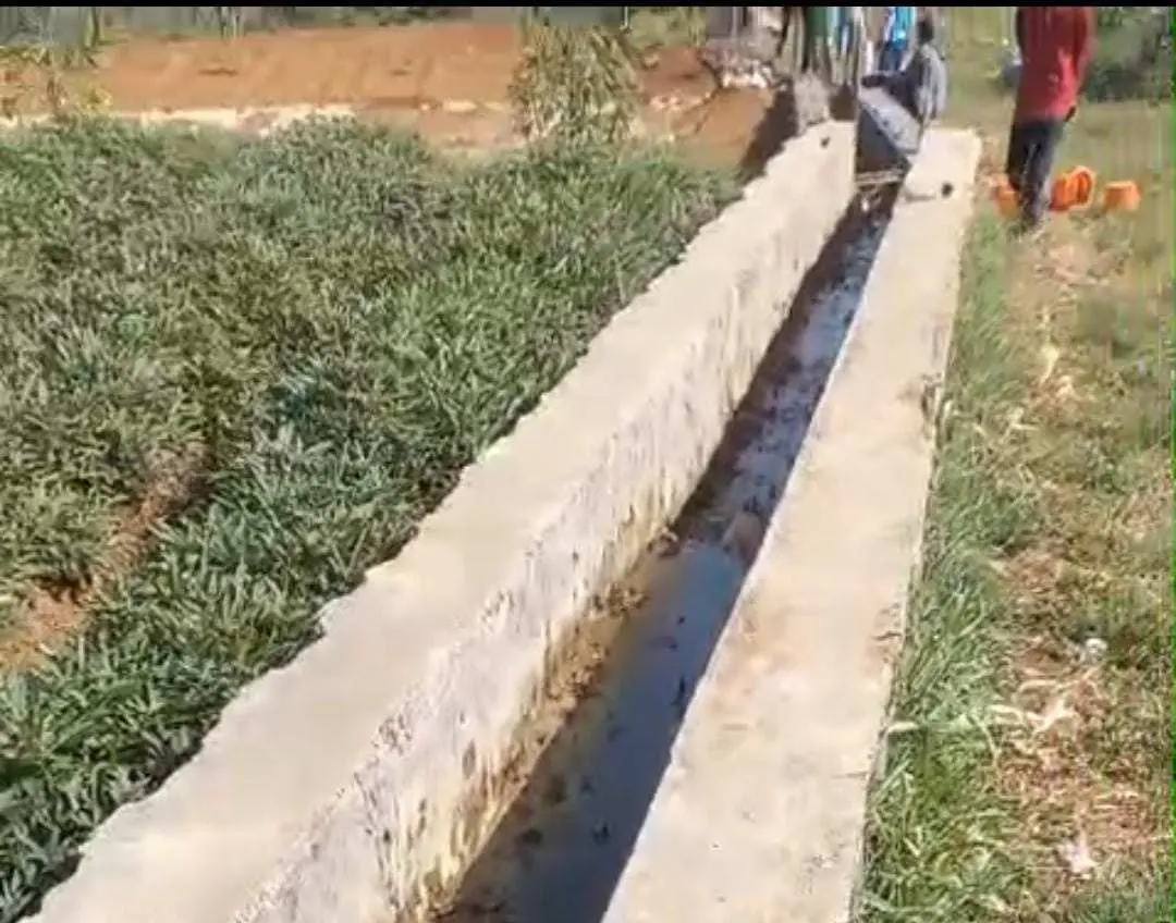 Kerap Merasakan Bau Tak Sedap, Warga Bakal Geruduk Kandang Sapi