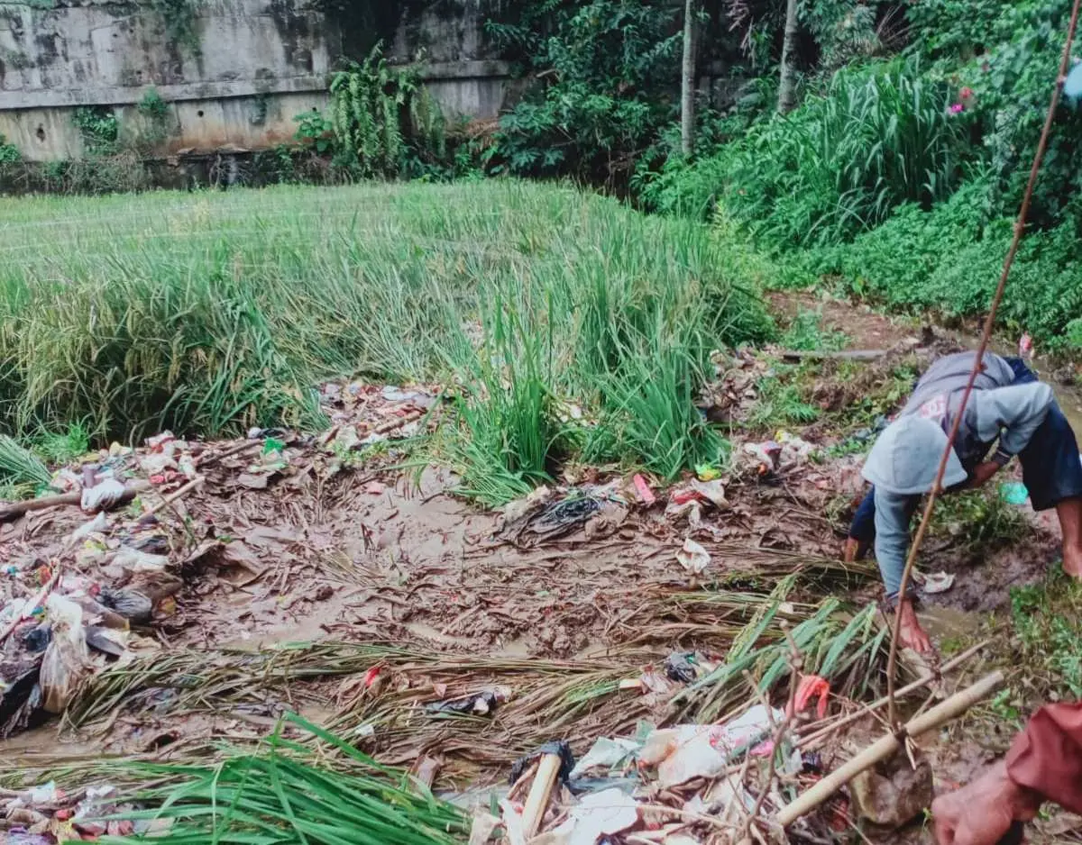 Wisma Kinasih  Buang Sampah Sembarangan, Sawah Milik Warga Rusak Parah