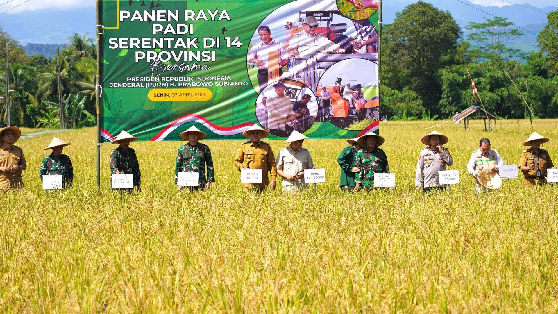 Panen Raya di Jonggol, Rudy Susmanto Tegaskan Pemkab Bogor Siap Sukseskan Program ketahanan Pangan
